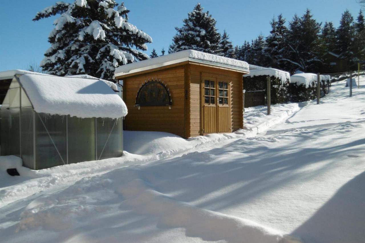 Ferienwohnung Rauscher Altenberg  Εξωτερικό φωτογραφία
