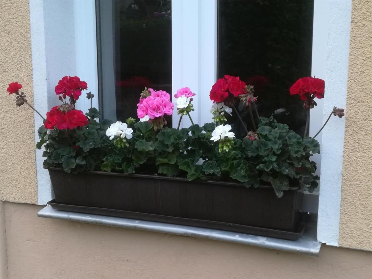 Ferienwohnung Rauscher Altenberg  Εξωτερικό φωτογραφία