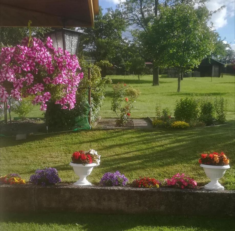 Ferienwohnung Rauscher Altenberg  Εξωτερικό φωτογραφία