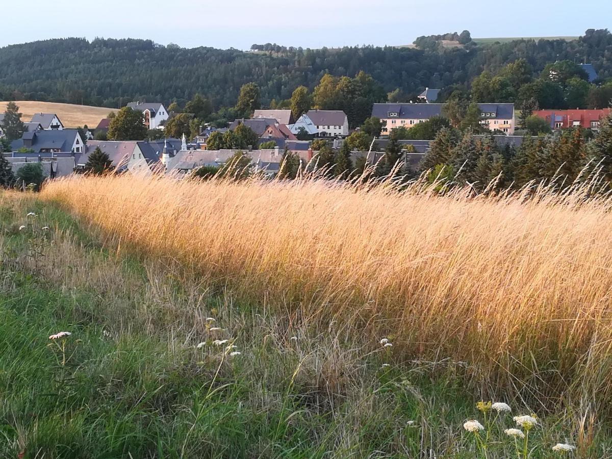 Ferienwohnung Rauscher Altenberg  Εξωτερικό φωτογραφία
